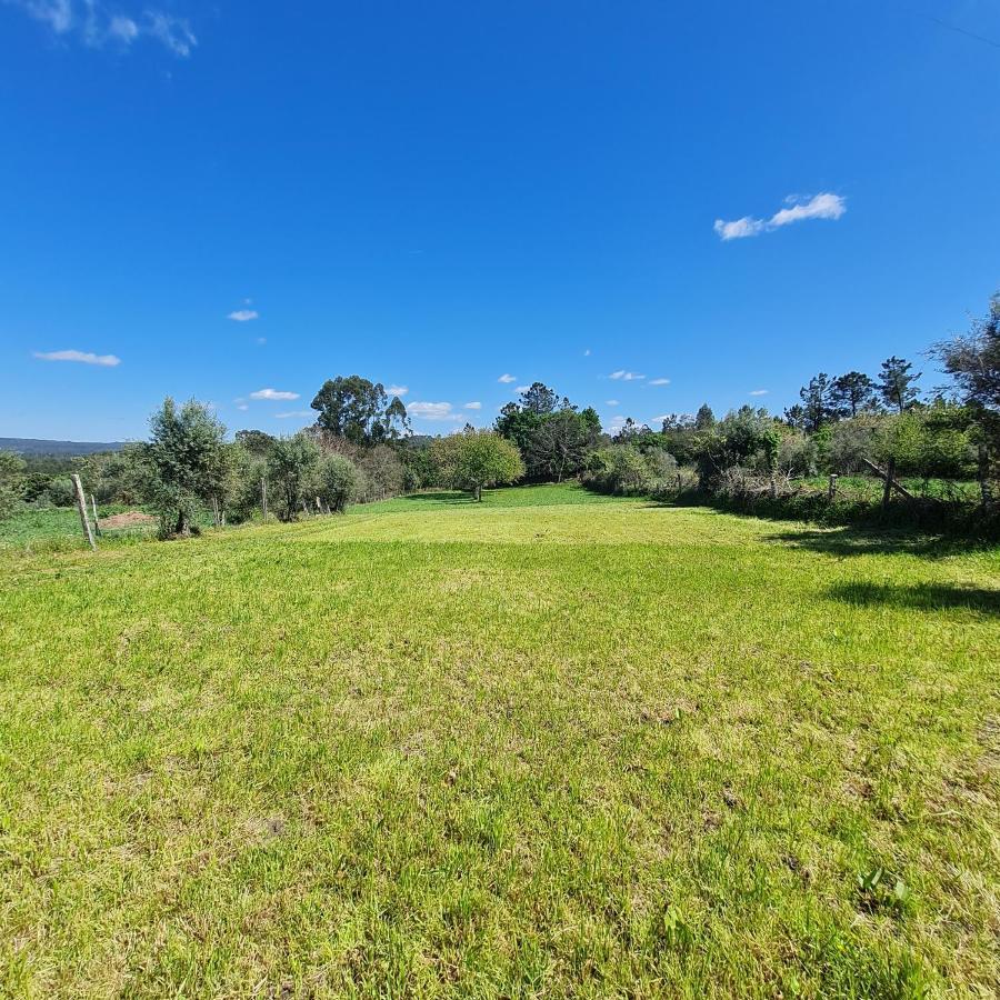Quinta Jr - Casa De Campo Carregal  Екстер'єр фото