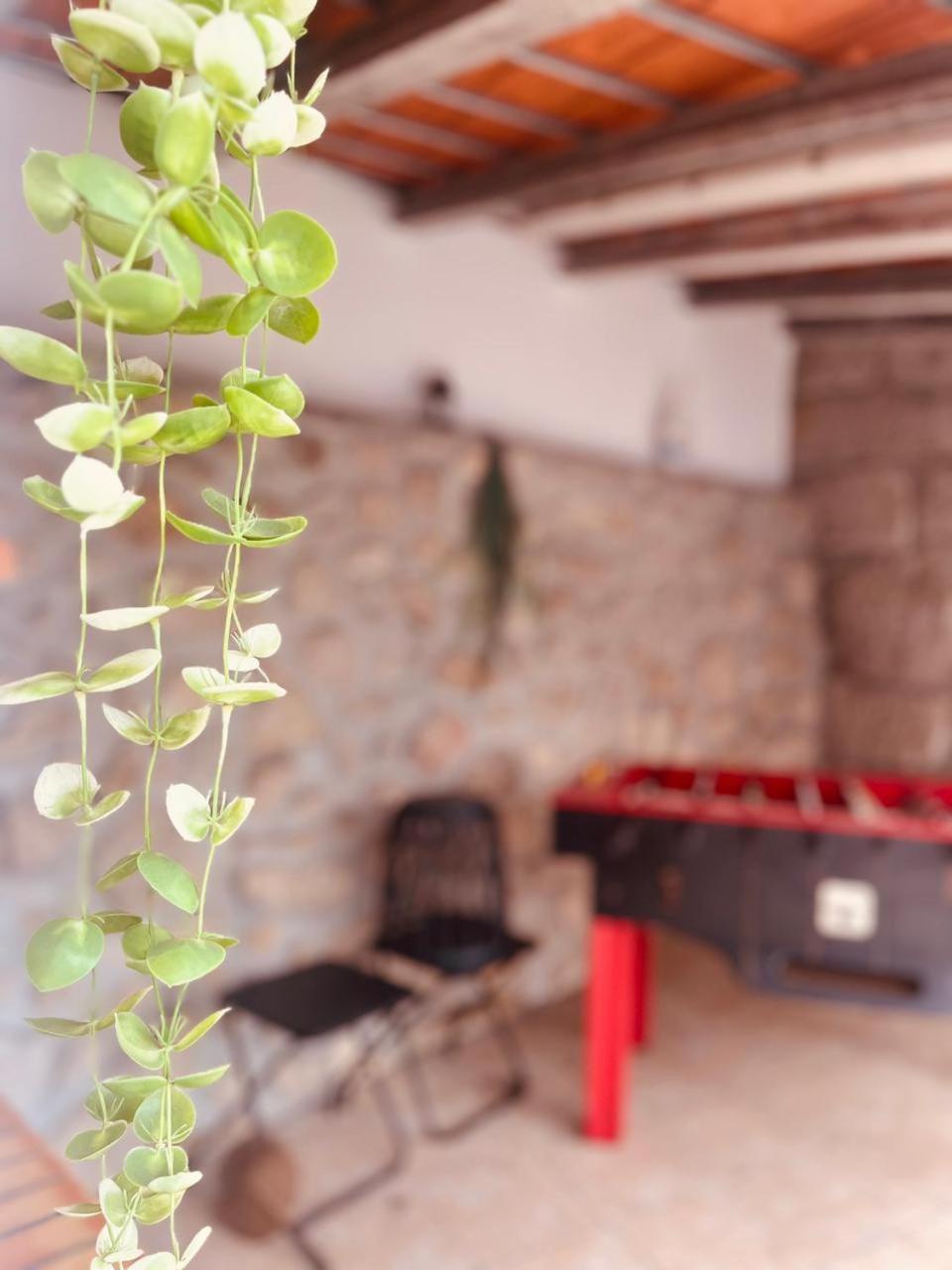 Quinta Jr - Casa De Campo Carregal  Екстер'єр фото